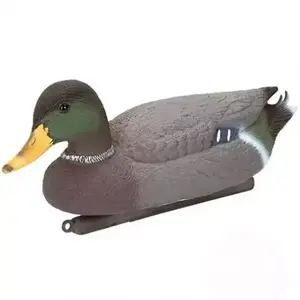 Mallard Duck Kacsa dekoráció 36864 kép