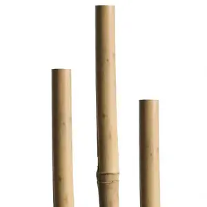 Bambusz rúd 180 cm 12/14 mm 05610 kép