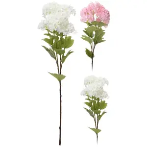Klaina 6 ág 60 cm kép