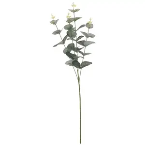 Eukaliptus 65cm kép