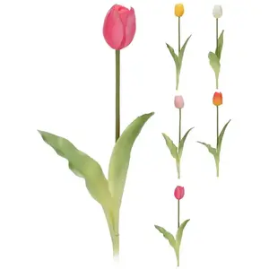 Mini tulipán 40 cm 5ass clr kép