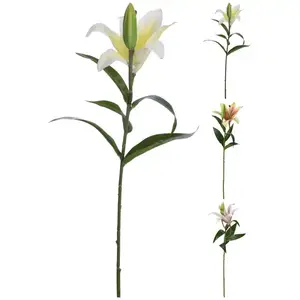 Liliom 59c m 3das kép