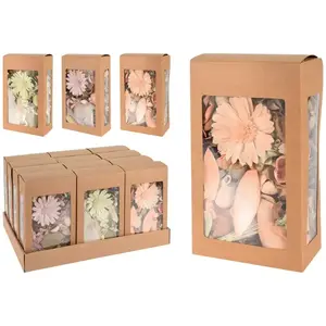 Potpourri d22702030 kép