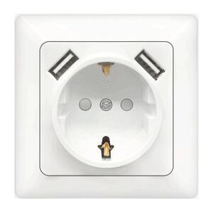 B.V. - SCHUKO háztartási konnektor 250V + 2x USB, fehér kerettel B20101NJD kép