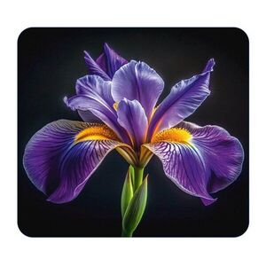 Edzett üveg falvédő tűzhelyhez 50x56 cm Iris – Wenko kép
